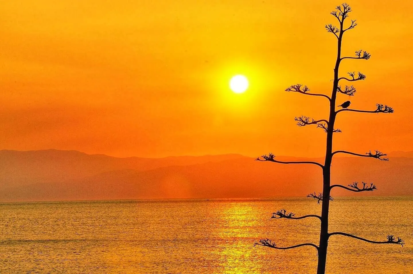 Apto Rayo De Sol, Primera Linea Playa, Cabo De Gata شقة